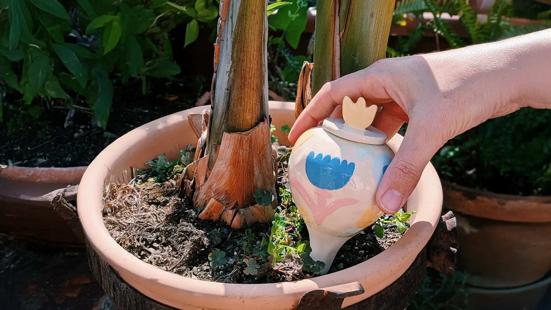 Autorriego para maceta